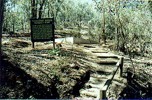 Mywalk8.JPG (31696 bytes)